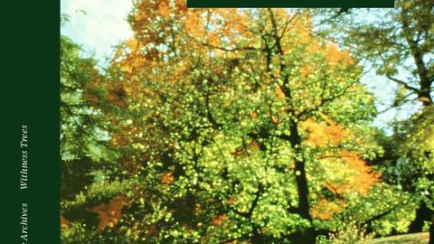 Pictured is the cover of the current issue of the journal, Arnoldia.  It features colorful trees with people walking in the foreground