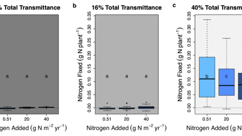 n-fixation controls