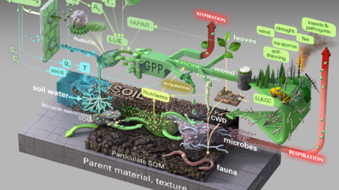Walker, Taylor et al_2020