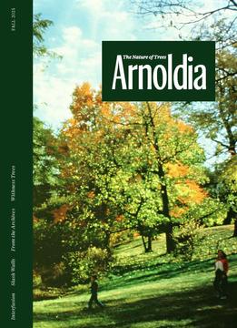 Pictured is the cover of the current issue of the journal, Arnoldia.  It features colorful trees with people walking in the foreground