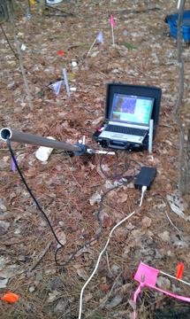 Minirhizotron Setup