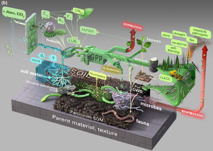 Walker, Taylor et al_2020